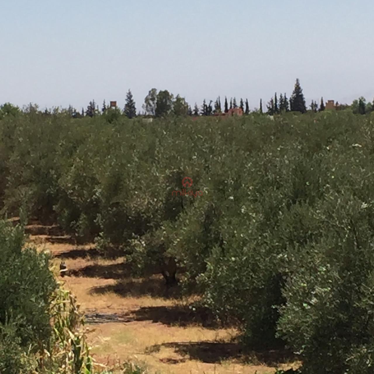 Vente Maison à Marrakech — 2