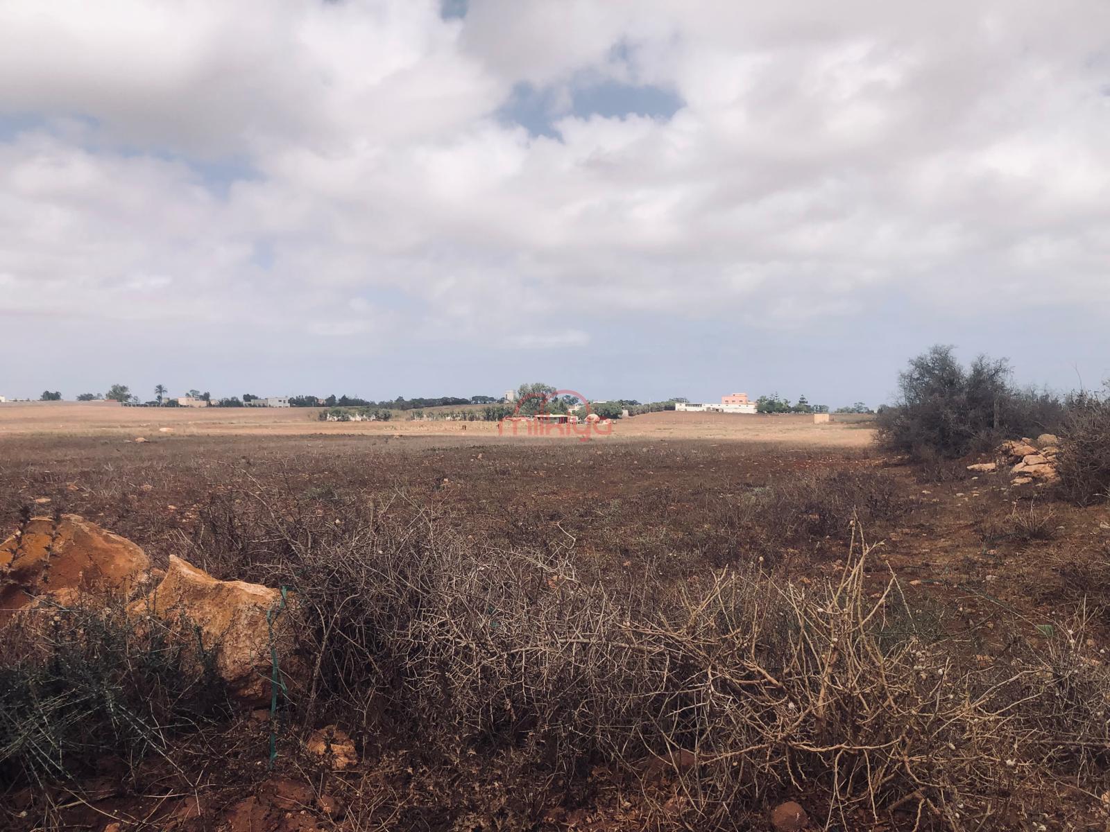 Vente Terrain agricole à Had Soualem