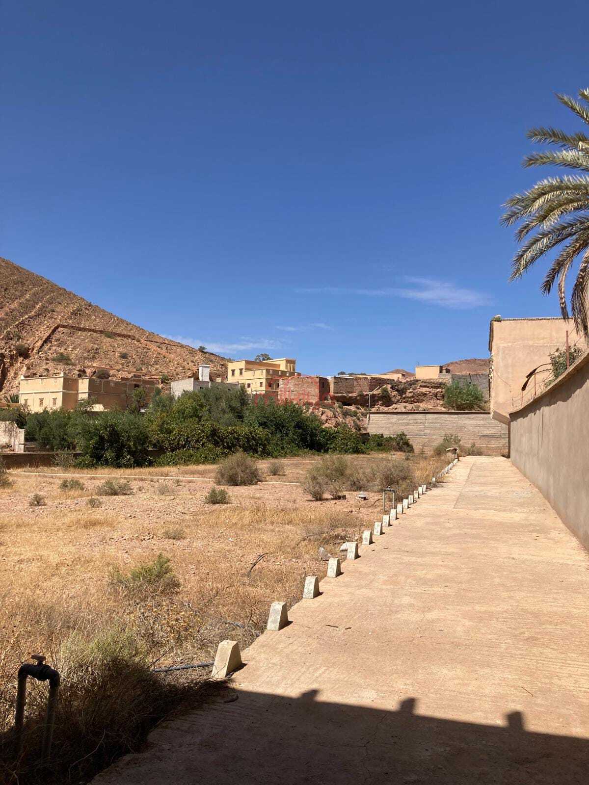 Vente Ferme à Taroudant