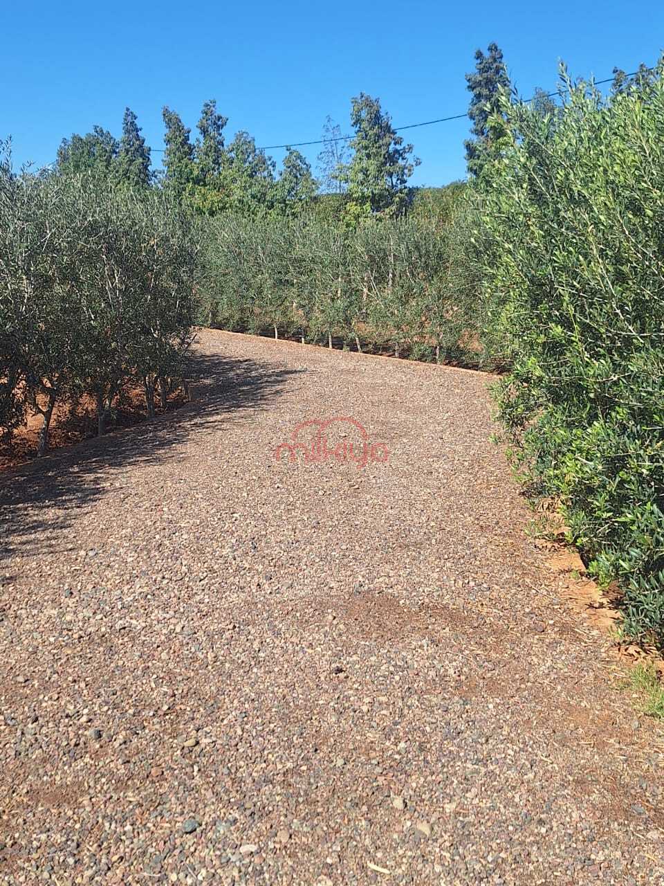 Vente Ferme à Marrakech — 4