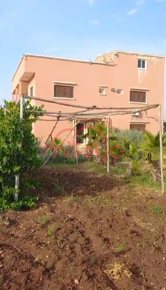 Vente Ferme à Settat — 3