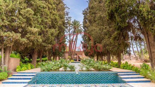 Villa 40000 m² à Palmeraie — 10