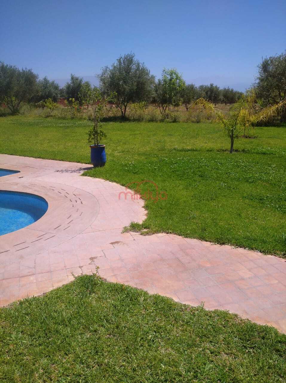 Terrain 20600 m² à Sidi Abdellah Ghiat — 10