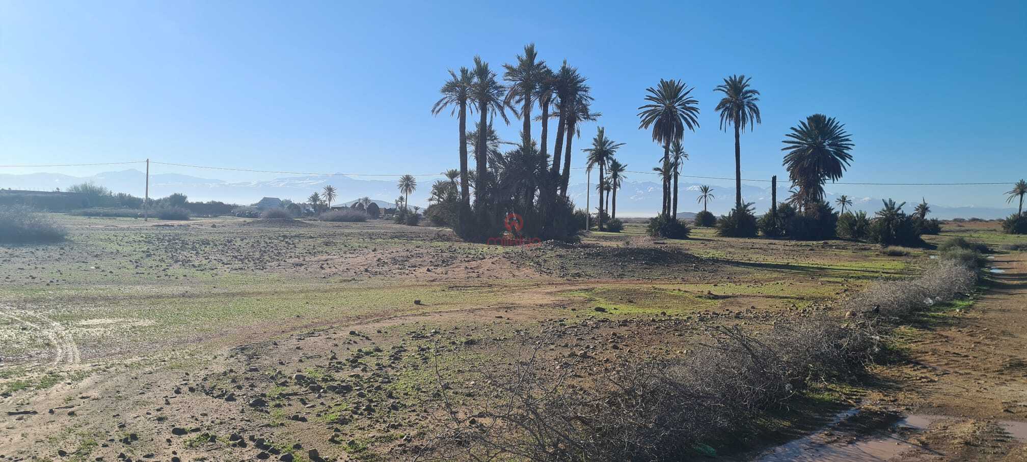 Vente Terrain nu à Marrakech — 3