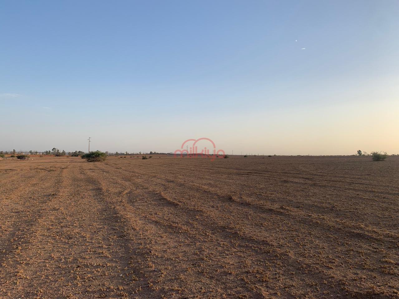 Vente Terrain nu à Marrakech — 3