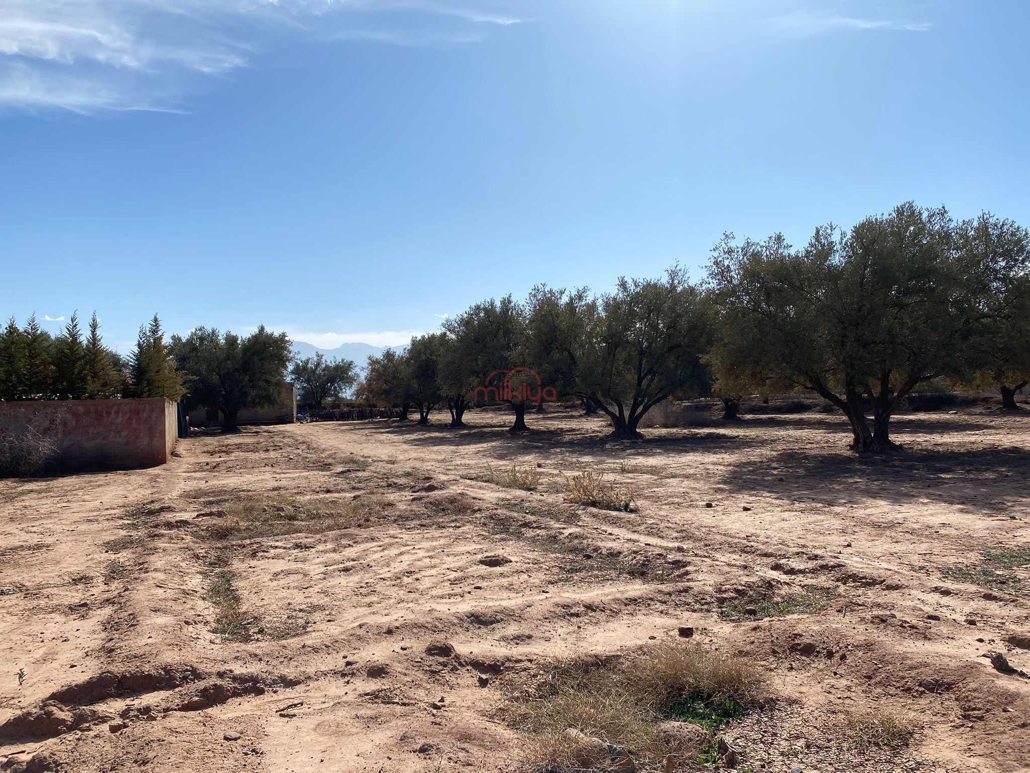 Vente Terrain nu à Marrakech