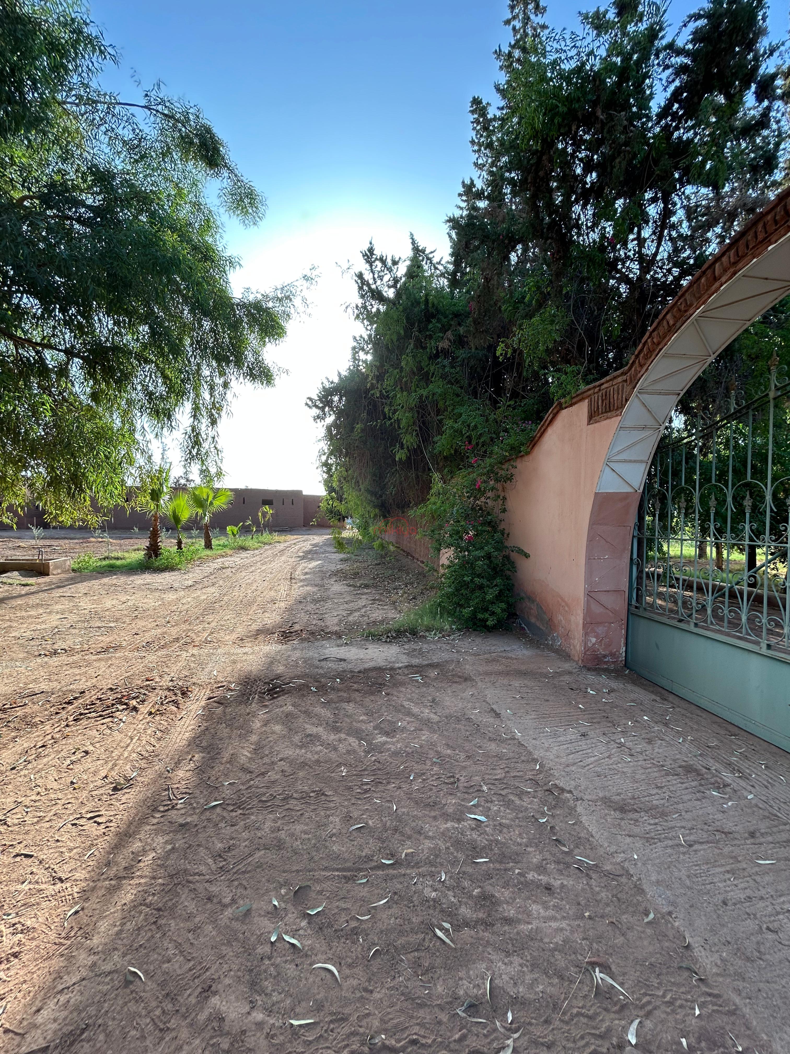 منزل/مزرعة للبيع بمنطقة مزرعة/زراعية كبيرة بمساحة 260000 م² بمراكش.