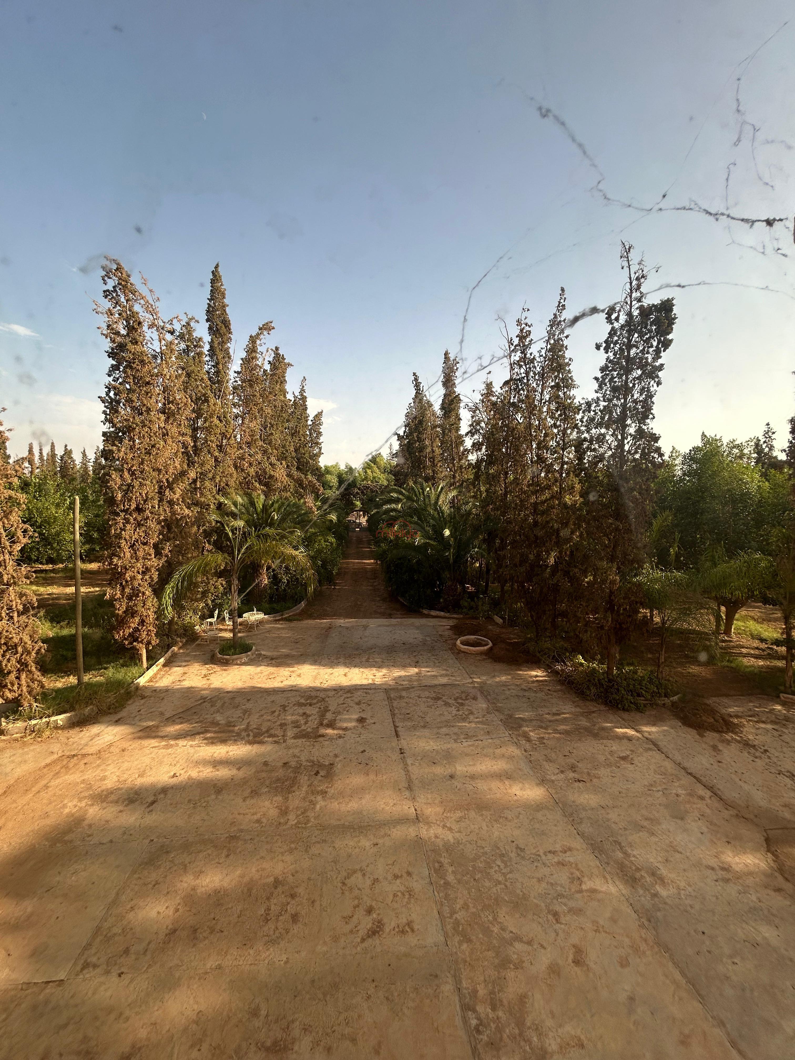 منزل/مزرعة للبيع بمنطقة مزرعة/زراعية كبيرة بمساحة 260000 م² بمراكش.