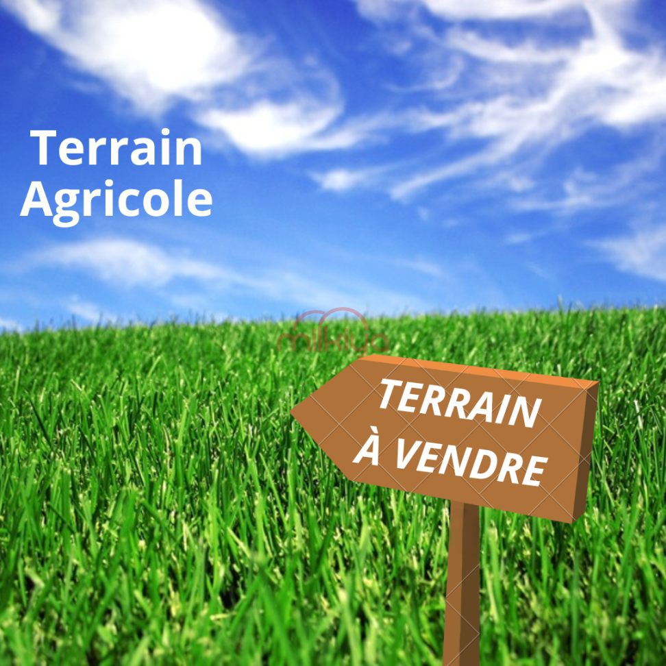 Vente Terrain agricole à Marrakech