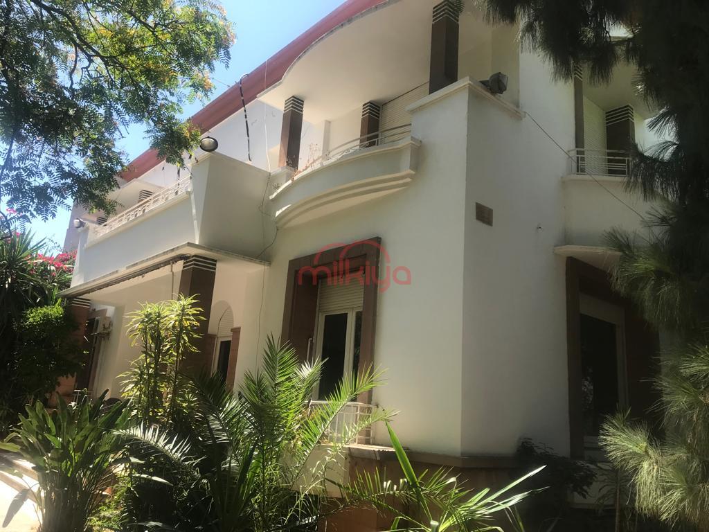 Villa 1068 m² f Palmier — 8
