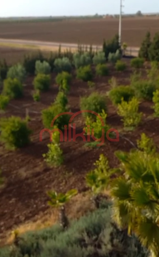 Vente Ferme à Settat — 2