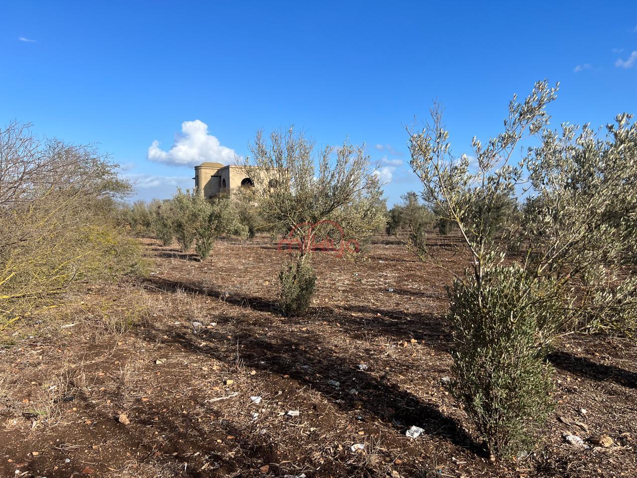 Vente Terrain agricole à Mediouna