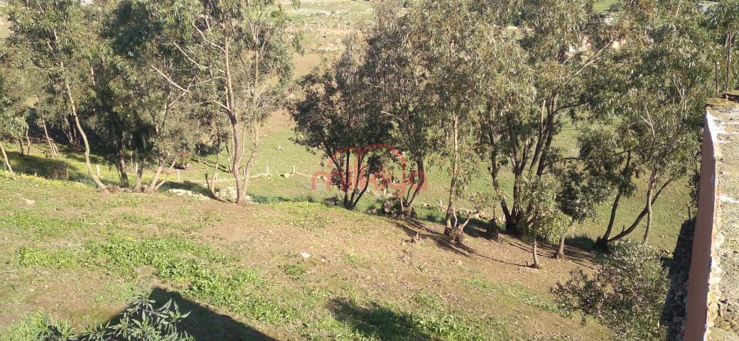 Vente Terrain nu à El Jadida — 2