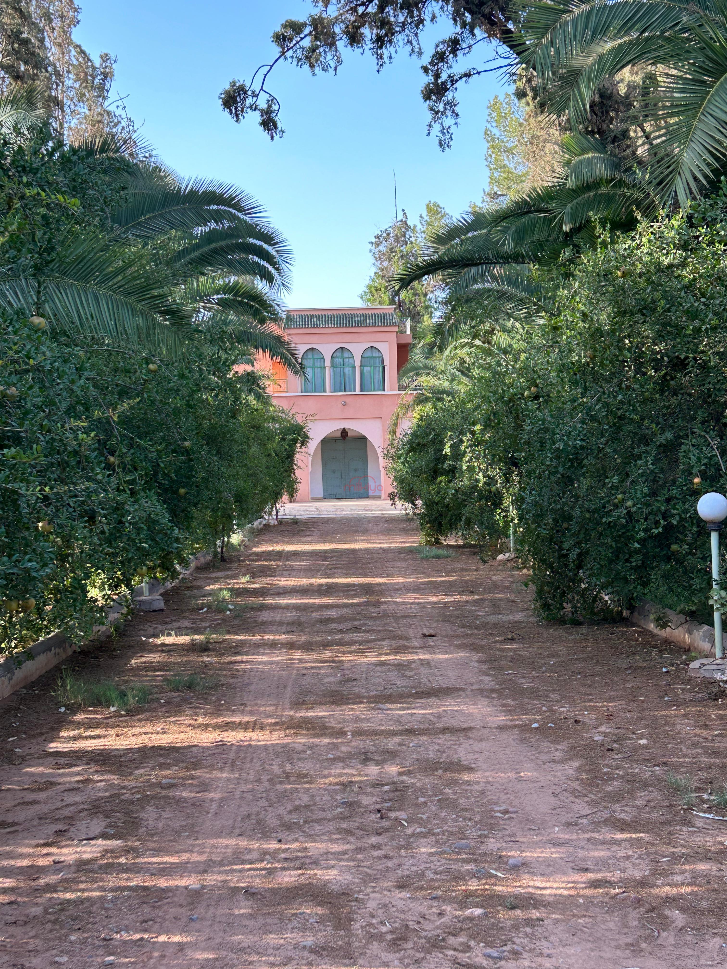 منزل/مزرعة للبيع بمنطقة مزرعة/زراعية كبيرة بمساحة 260000 م² بمراكش.