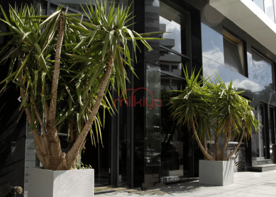 Location Bureau à Casablanca — 2