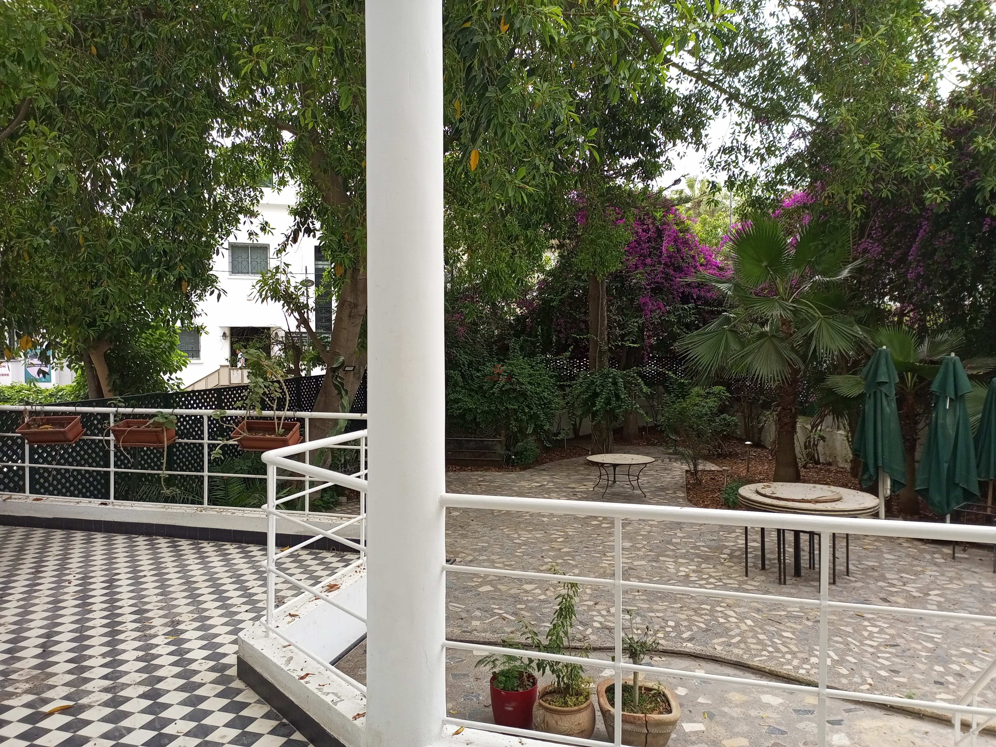 Location Local à Casablanca — 4