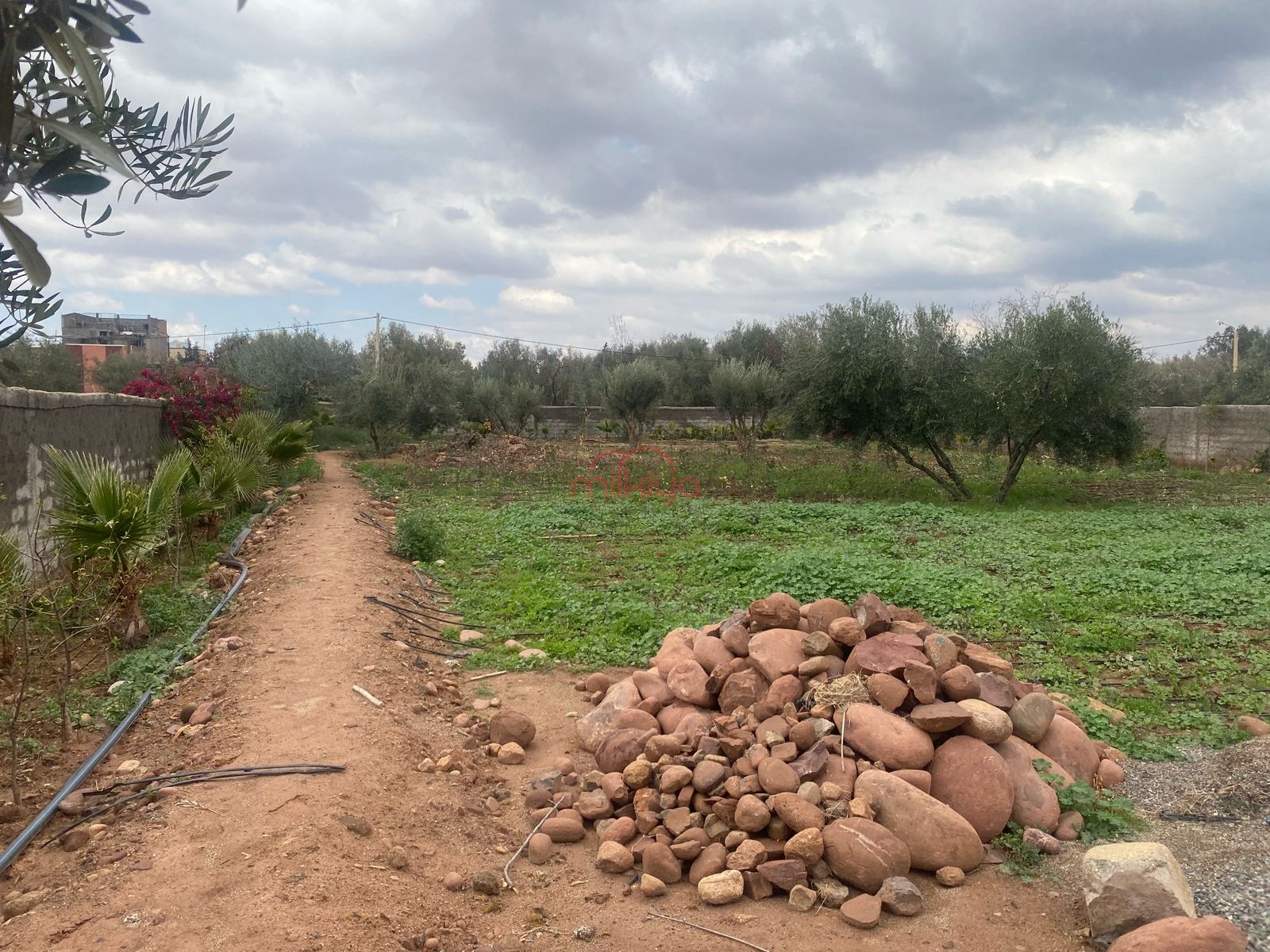 Vente Terrain agricole à Marrakech — 2
