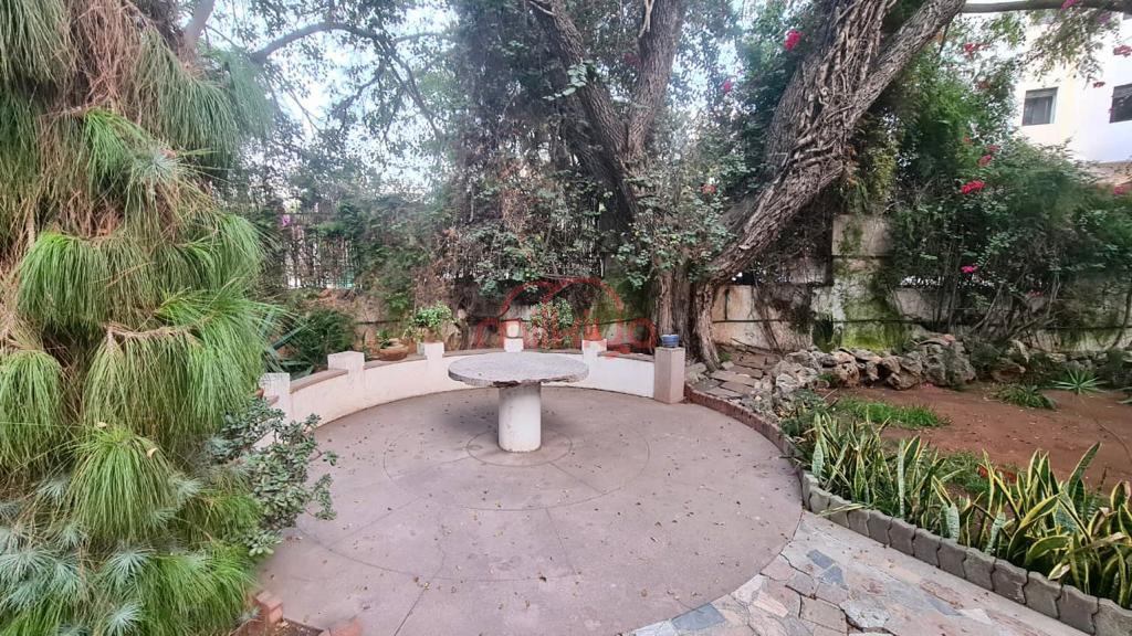 Villa 1068 m² f Palmier — 7