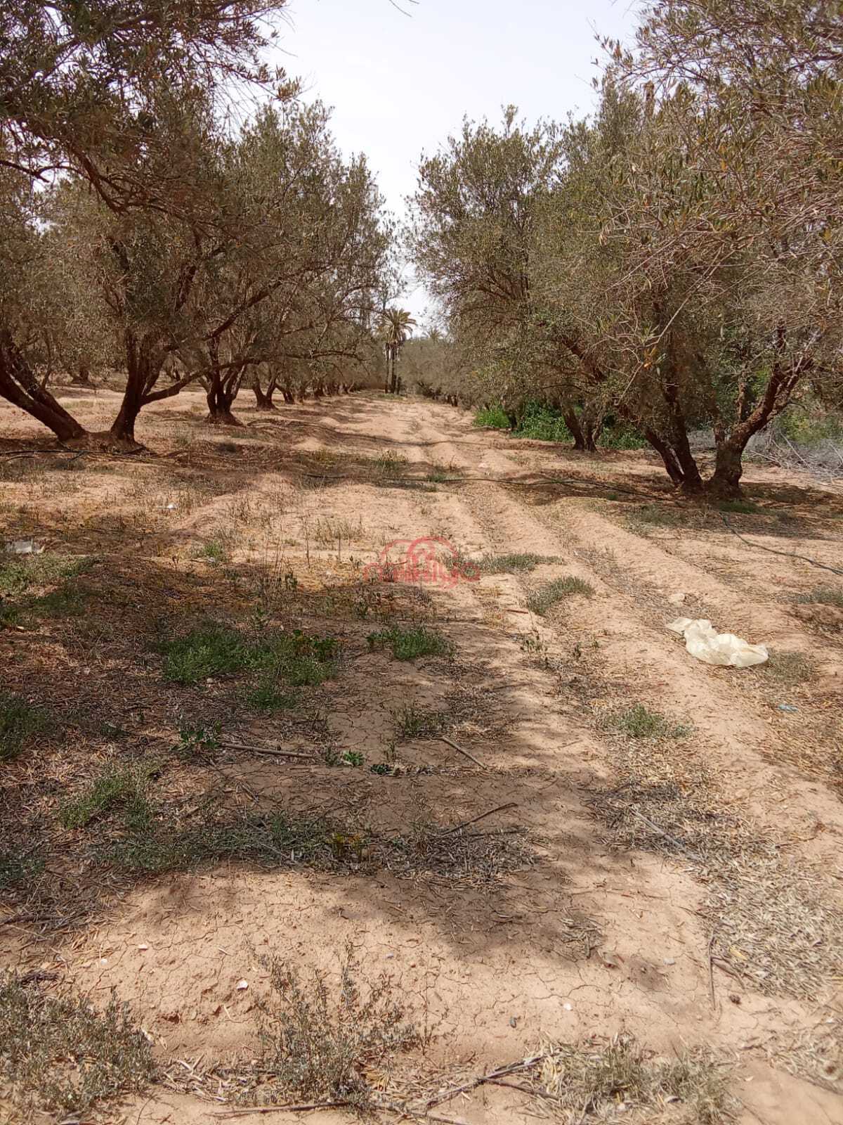 Vente Terrain nu à Marrakech