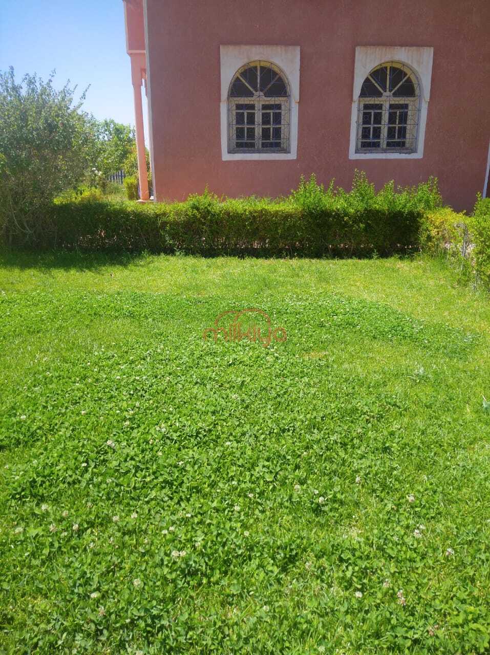 Terrain 20600 m² à Sidi Abdellah Ghiat — 9