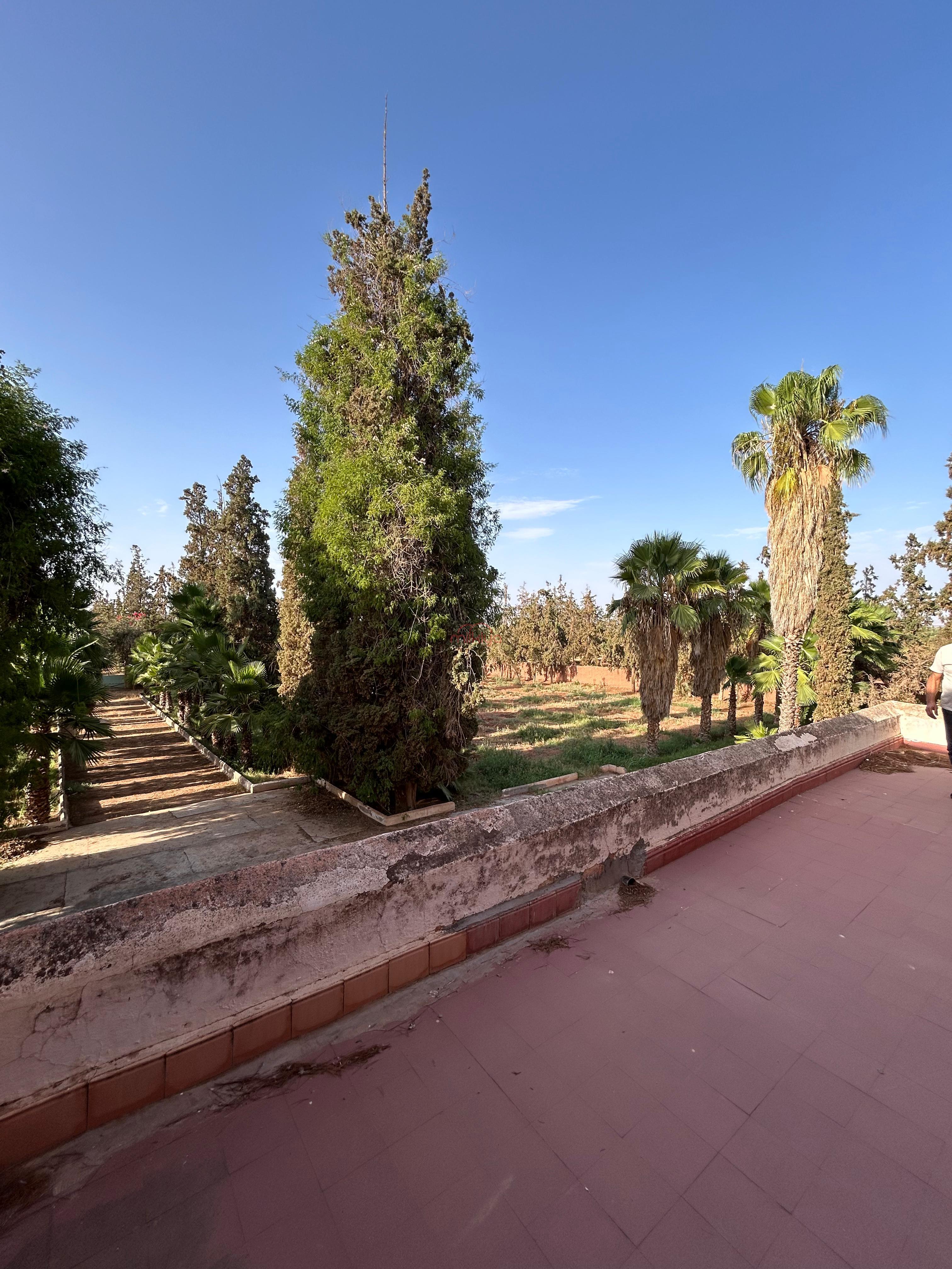 Vente Terrain agricole à Marrakech — 6